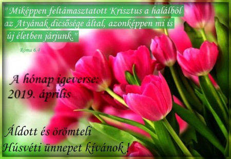 2019 - ÁPRILIS HÓNAP IGEVERSE